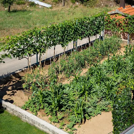 Villa Kuca Za Odmor Magnolia